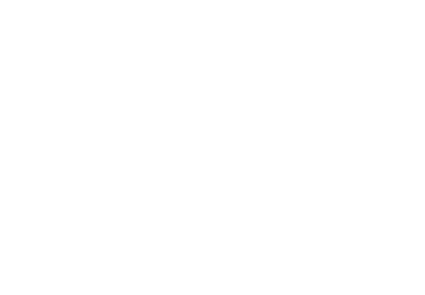 Aynur Logo